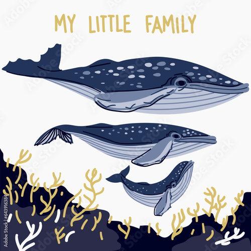 A family of cartoon whales on a white background like a postcard with the signature My little family. Dad, mom and baby in blue colors. Illustration of the humpback whale family. Animals swim together