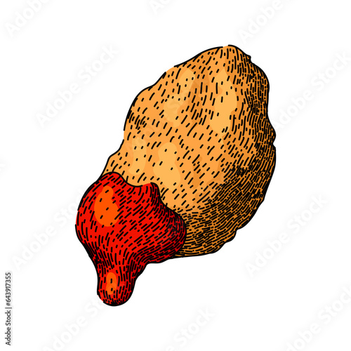 nugget chicken nuggets hand drawn. food crispy, fried vector, ketchup sauce nugget chicken nuggets vector sketch. isolated color illustration
