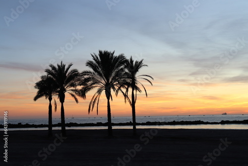 Sunset on the Zapillo beach in Almeria, Spain, ship in front of the Sun © Katerina
