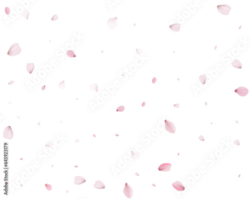 Sakura flying petals, romantic background.