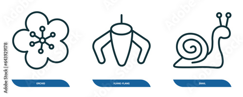set of 3 linear icons from nature concept. outline icons such as orchid, ylang-ylang, snail vector