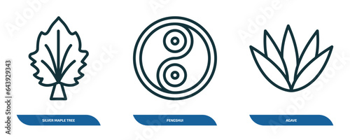 set of 3 linear icons from nature concept. outline icons such as silver maple tree, fengshui, agave vector
