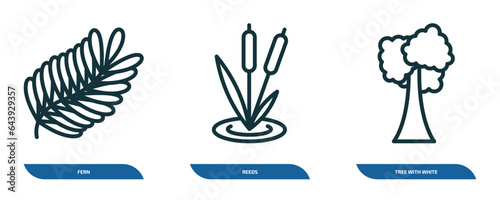 set of 3 linear icons from nature concept. outline icons such as fern, reeds, tree with white foliage vector
