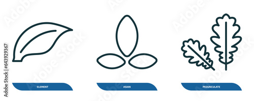 set of 3 linear icons from nature concept. outline icons such as element, asian, pedunculate vector