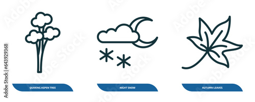 set of 3 linear icons from nature concept. outline icons such as quaking aspen tree, night snow, autumn leaves vector