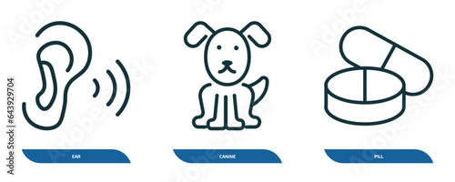 set of 3 linear icons from medical concept. outline icons such as ear, canine, pill vector