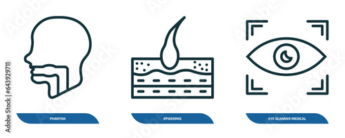 set of 3 linear icons from medical concept. outline icons such as pharynx, epidermis, eye scanner medical vector