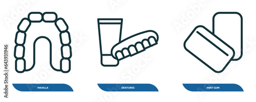 set of 3 linear icons from dentist concept. outline icons such as maxilla, dentures, mint gum vector