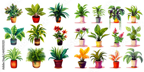 Illustration of various plants in the pots which is isolated on the white background.