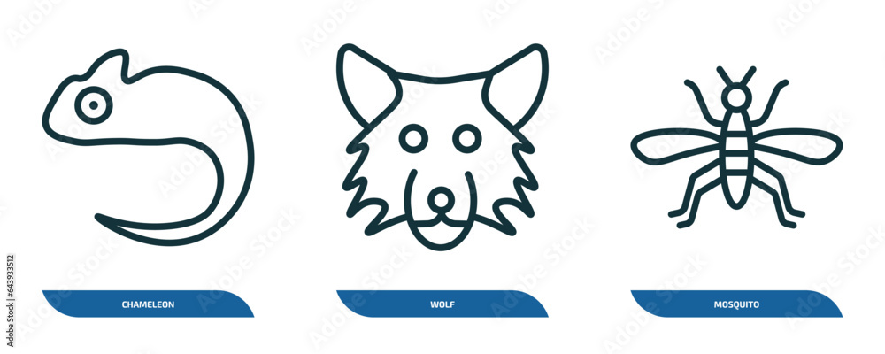set of 3 linear icons from animals concept. outline icons such as chameleon, wolf, mosquito vector