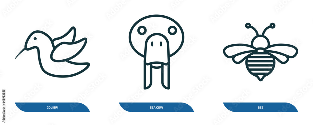 set of 3 linear icons from animals concept. outline icons such as colibri, sea cow, bee vector set of 3 linear icons from animals concept. outline icons such as colibri, sea cow, bee vector