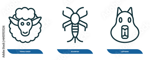 set of 3 linear icons from animals concept. outline icons such as female sheep, silverfish, capybara vector