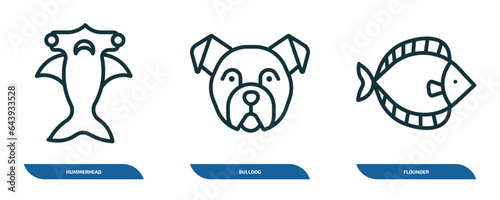 set of 3 linear icons from animals concept. outline icons such as hummerhead, bulldog, flounder vector
