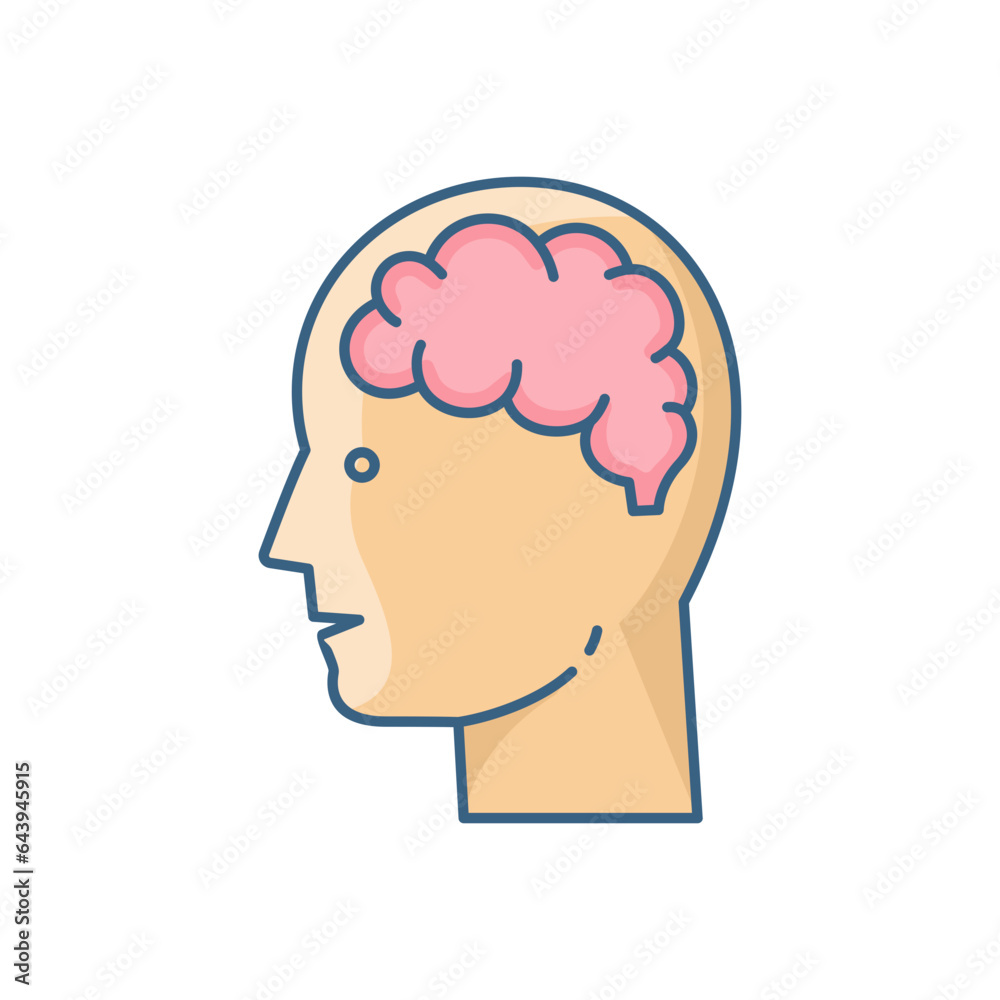 Human Brain