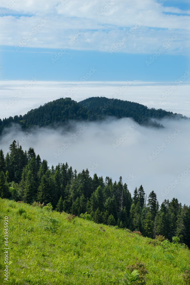 Fototapeta premium Foggy mountain landscape. Foggy and cloud-covered mountains. Foggy valleys. Foggy forest landscape. Black Sea mountains.Pokut Plateau. Kaçkar mountains. Rize, Türkiye.