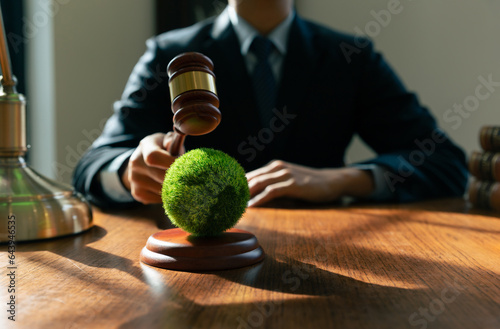 Hand of jude is hitting on earth with wooden gavel, Environmental law and international agreement about protocol for framework convention on climate change, world and environment sustainable conservat
