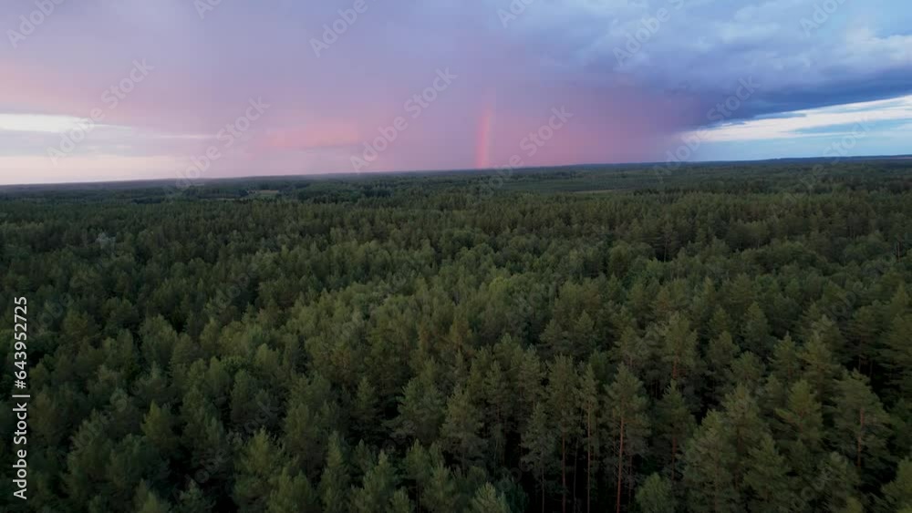 Aerial View of Rainfall and Rainbow in Enchanting Forest Aerial View of Rainfall and Rainbow in Enchanting Forest