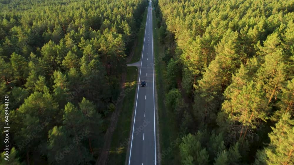 Aerial Car Journey Through Forest Canopy Aerial Car Journey Through Forest Canopy