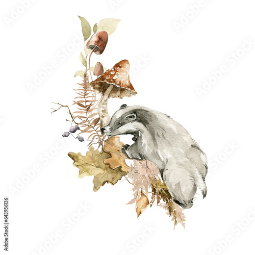 Fototapeta Naklejka Na Ścianę i Meble -  Watercolor woodland set. Hand painted autumn composition of badger, mushroom, forest leaves, fall oak leaf, isolated on white background. illustration for card design, print, poster