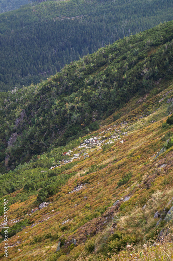 Hiking in Polish national park. Giant Mountains, Poland. Karkonoski park Narodowy. Polskie góry. Hiking in Europe. Hiking in Polish national park. Giant Mountains, Poland. Karkonoski park Narodowy. Polskie góry. Hiking in Europe.