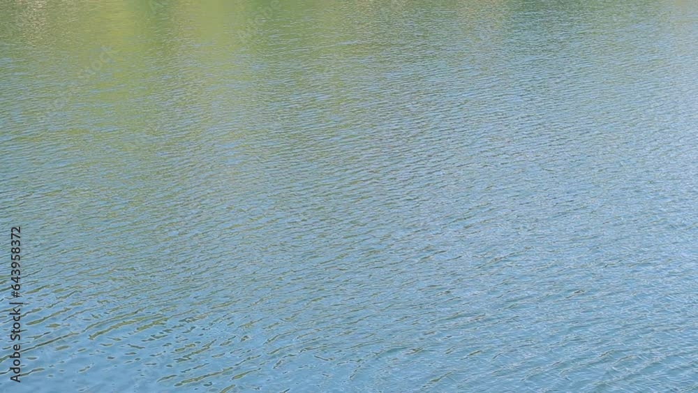 The surface of the water in a lake, river or flooded quarry. Ripples on the water. Beautiful water color. Natural background The surface of the water in a lake, river or flooded quarry. Ripples on the water. Beautiful water color. Natural background