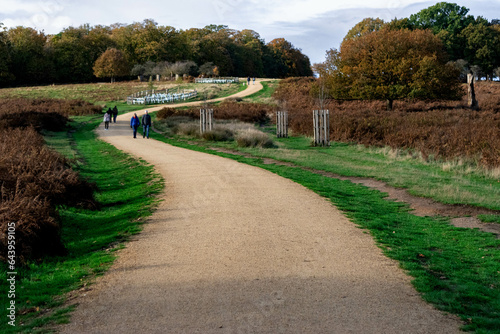 View of London's beautiful Richmond Park