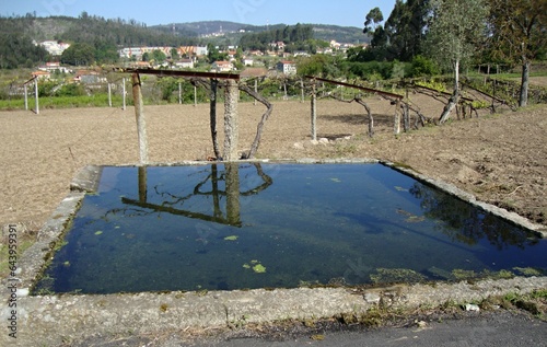 Irrigation basin with water for agriculture