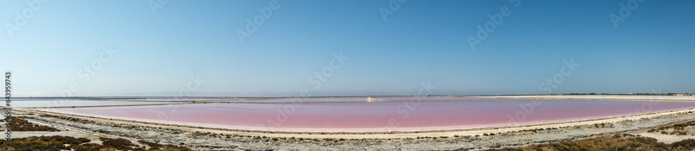 Panorama von rosa gefärbten Salinen zur Gewinnung von Meersalz. 