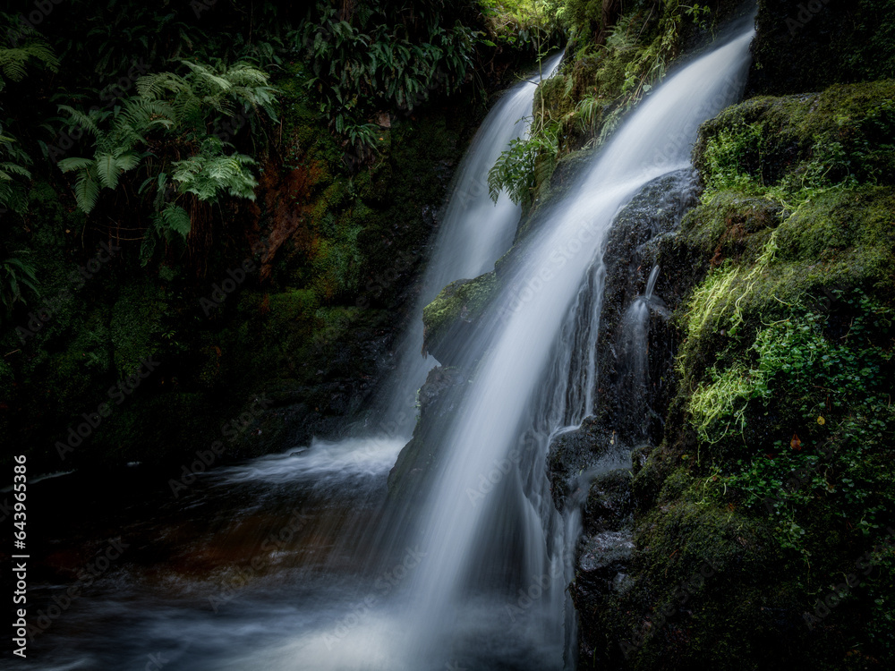 Fototapeta premium Venford Falls - Falling