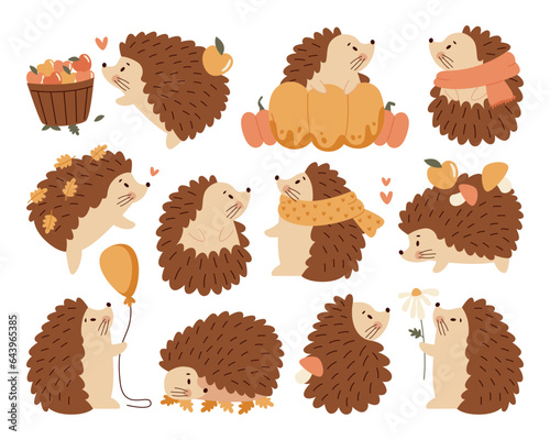 Different cute baby hedgehog autumn cartoon kawaii little wild forest animal character isolated set © Mykola Syvak