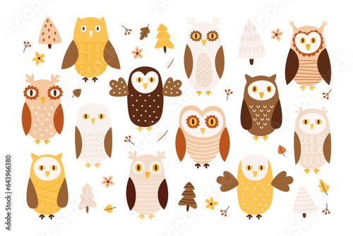 Smart curious owl and owlet forest bird cute birdie character with different plumage drawing set