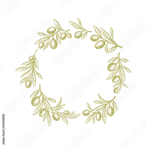 Olive circle pattern. Green branch, texture leaves