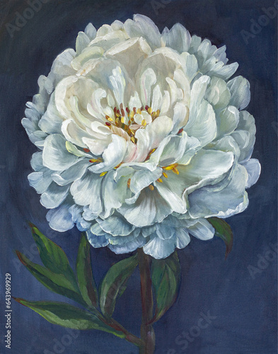 Oil painting, white peony on a blue background.Poster, postcard.