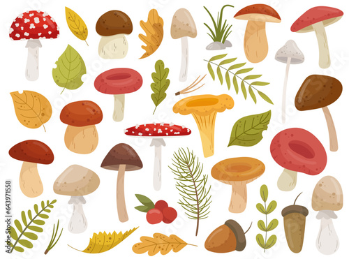 Various mushrooms and leaves design element isolated nature botanical set on white background