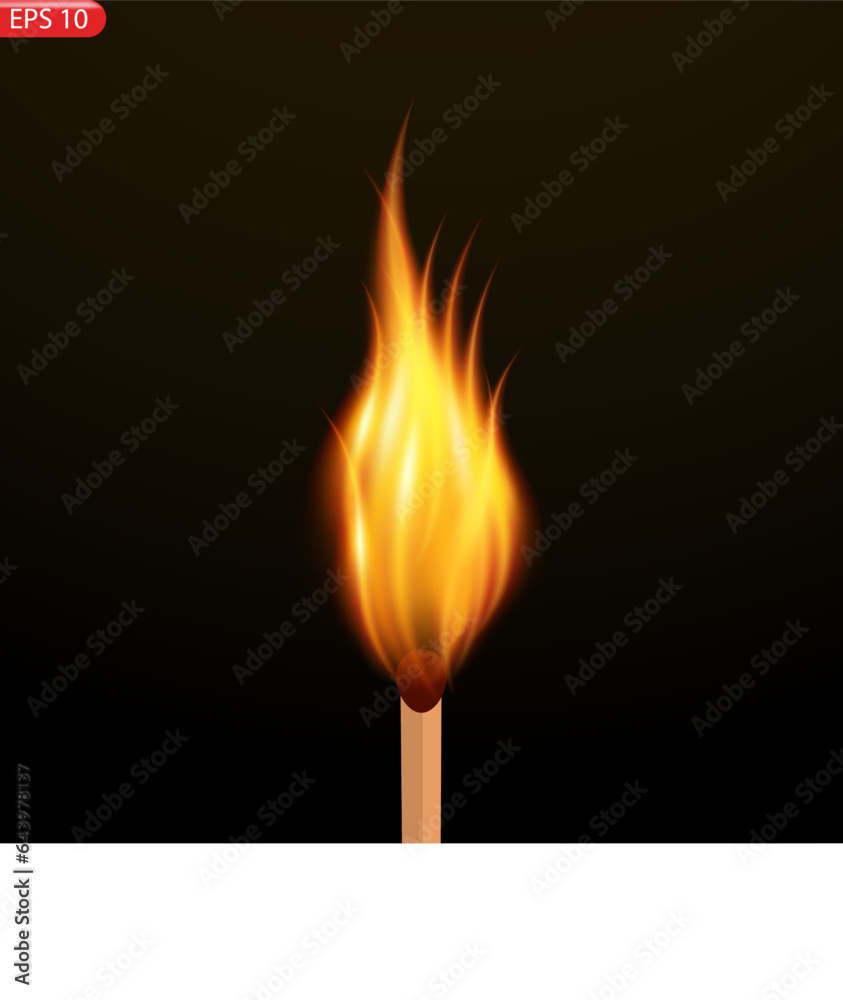 Fire flames isolated on transparent background. Vector realistic special effect Fire flames isolated on transparent background. Vector realistic special effect