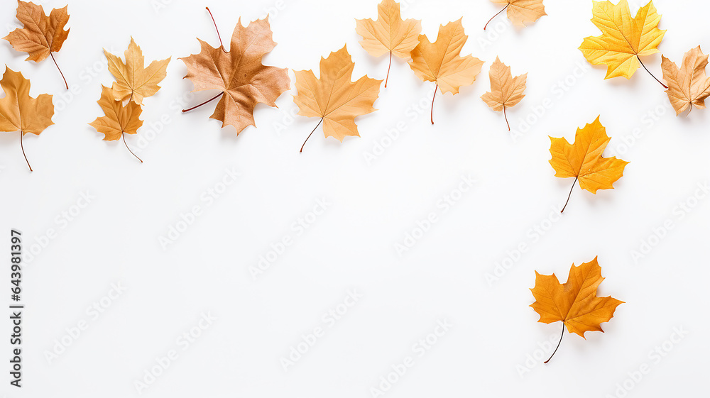 maple leaves on a white background isolated frame of fallen leaves autumn blank