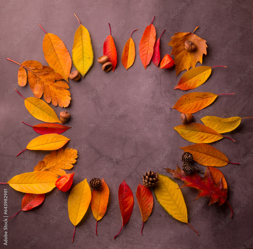 Autumnal background with Vivid Red Leaves on a Grunge grey background. Good For Autumn Seasonal Background.