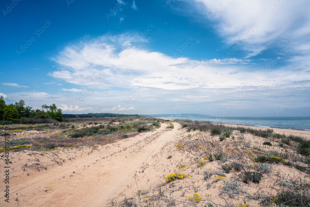 Wild beach with sandy dunes at Kamchia sands reserve the Black Sea coast near Varna, Bulgaria. Wild beach with sandy dunes at Kamchia sands reserve the Black Sea coast near Varna, Bulgaria.