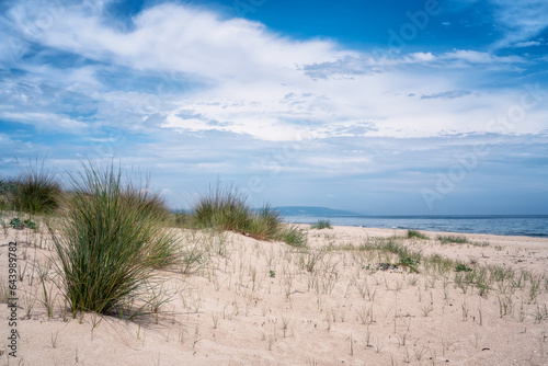 Wild beach with sandy dunes at Kamchia sands reserve the Black Sea coast near Varna, Bulgaria.