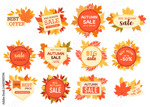 Autumn sale badge with colorful leaves and creative promotion lettering inscription isolated set