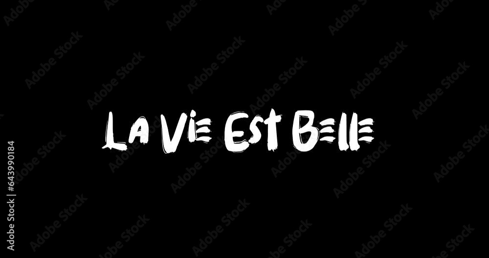La Vie Est Belle Grunge Transition Bold Text Typography Animation on Black Background 