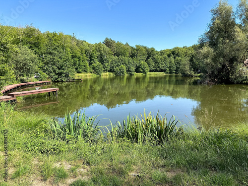 chill lake in a forest