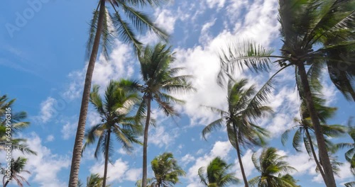 Wallpaper Mural timelpase palm trees and beautiful sky over sea Amazing light nature colorful landscape Beautiful light nature sky and clouds seascape Torontodigital.ca