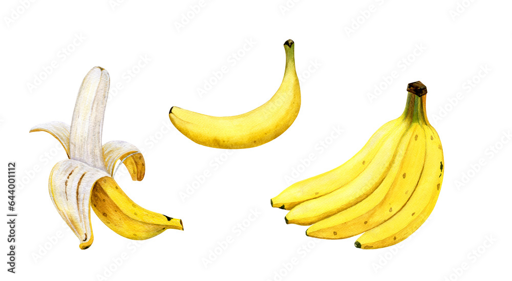 Set of watercolor yellow bananas. A bunch of bananas. Peeled banana. Watercolor fruit on white background.