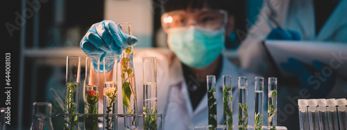 Scientist looking at samples For ecological skin care product experiments in night lab development concepts, research with plants and scientific extraction in glassware. 