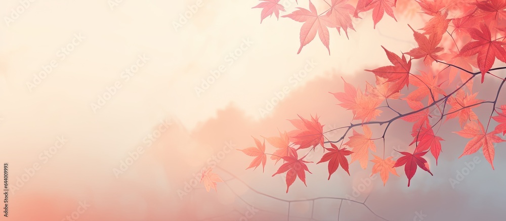 Gorgeous Thai autumn scene with red leaves at sunset isolated pastel background Copy space