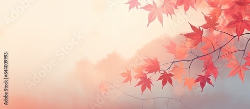 Gorgeous Thai autumn scene with red leaves at sunset isolated pastel background Copy space