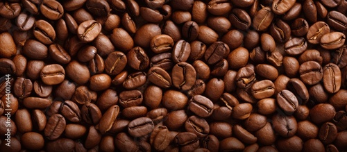 Arabica coffee beans isolated on a isolated pastel background Copy space