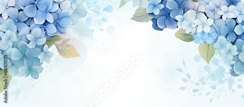 Hydrangea flower background for greeting cards weddings or birthdays isolated pastel background Copy space © HN Works