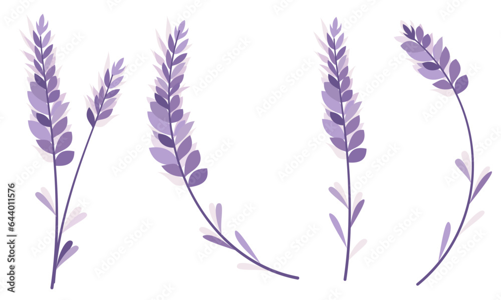 Floral vector illustration. Cute lavender sprigs in monochrome purple color. Vector illustration